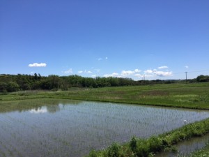 閑静な住宅地！！（笑い）
