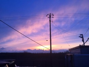 image6.JPG