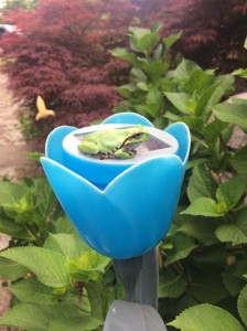 image1_16.JPG