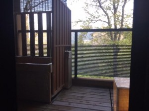 image8.JPG
