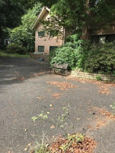 image8_5.JPG