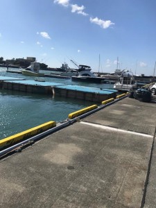 image11_7.jpeg