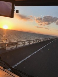 image1_19.jpeg