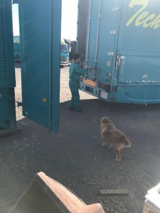 image3_8.jpeg
