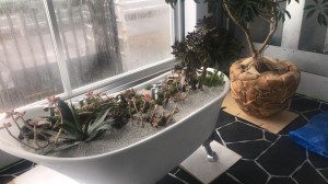 image10_6.jpeg