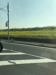image1_4.jpeg
