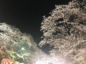 image2.jpeg