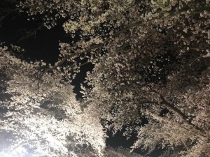 image3.jpeg