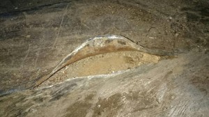 image6_4.jpeg