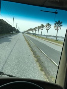 image7.jpeg