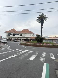 image11_11.jpeg