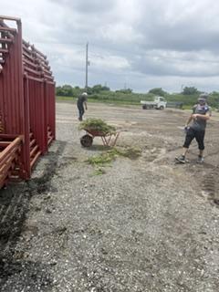 image8_4.jpeg