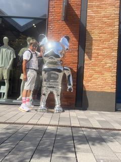 image11_5.jpeg