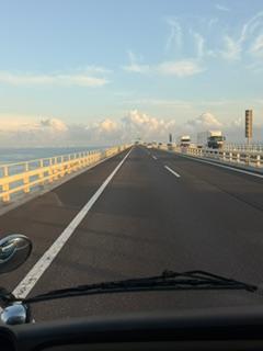 image9_8.jpeg